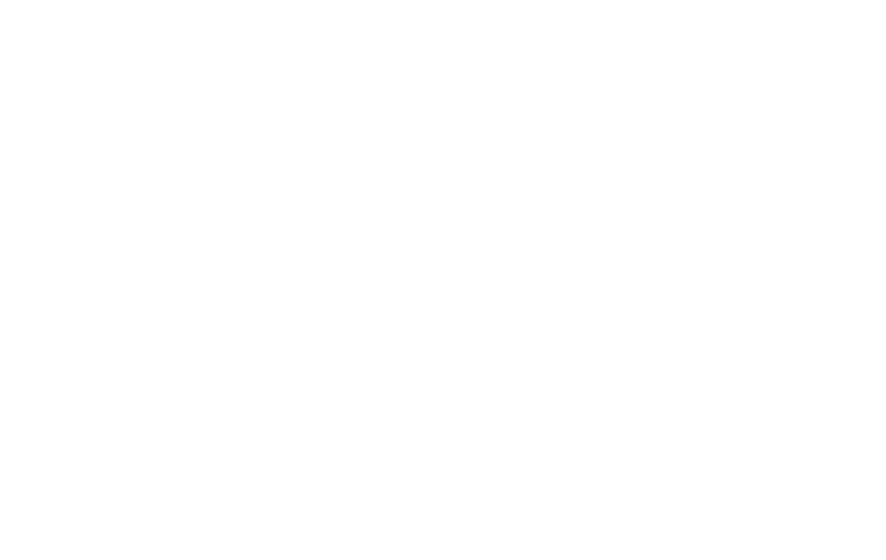 Man of La Mancha show logo